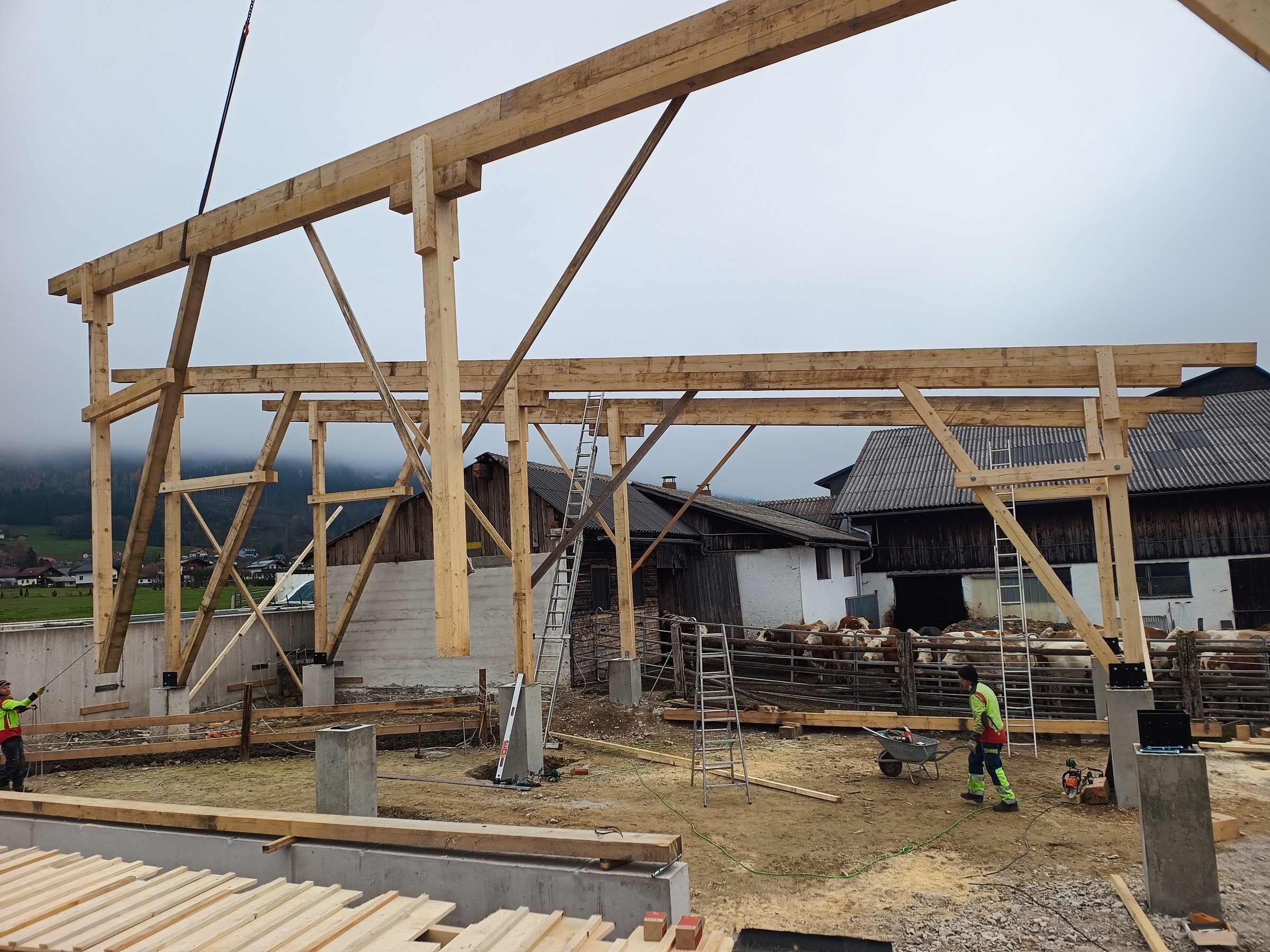 Aufgerichtetes Holztragwerk der Maschinenhalle