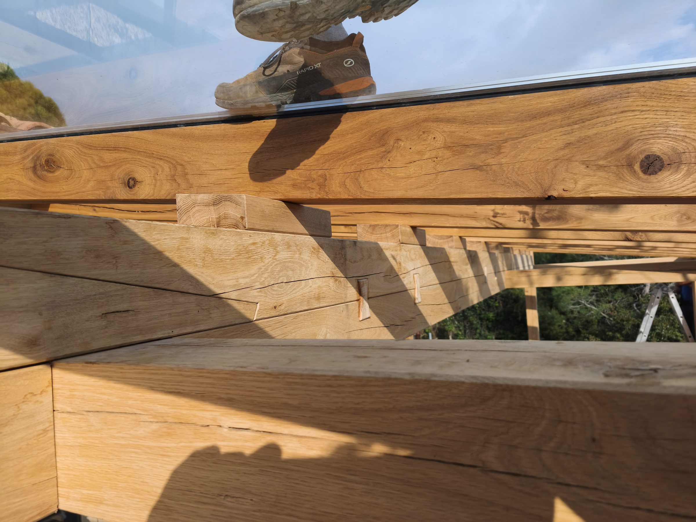 Blick durch das Glasdach auf die Holzbalken der Pergola