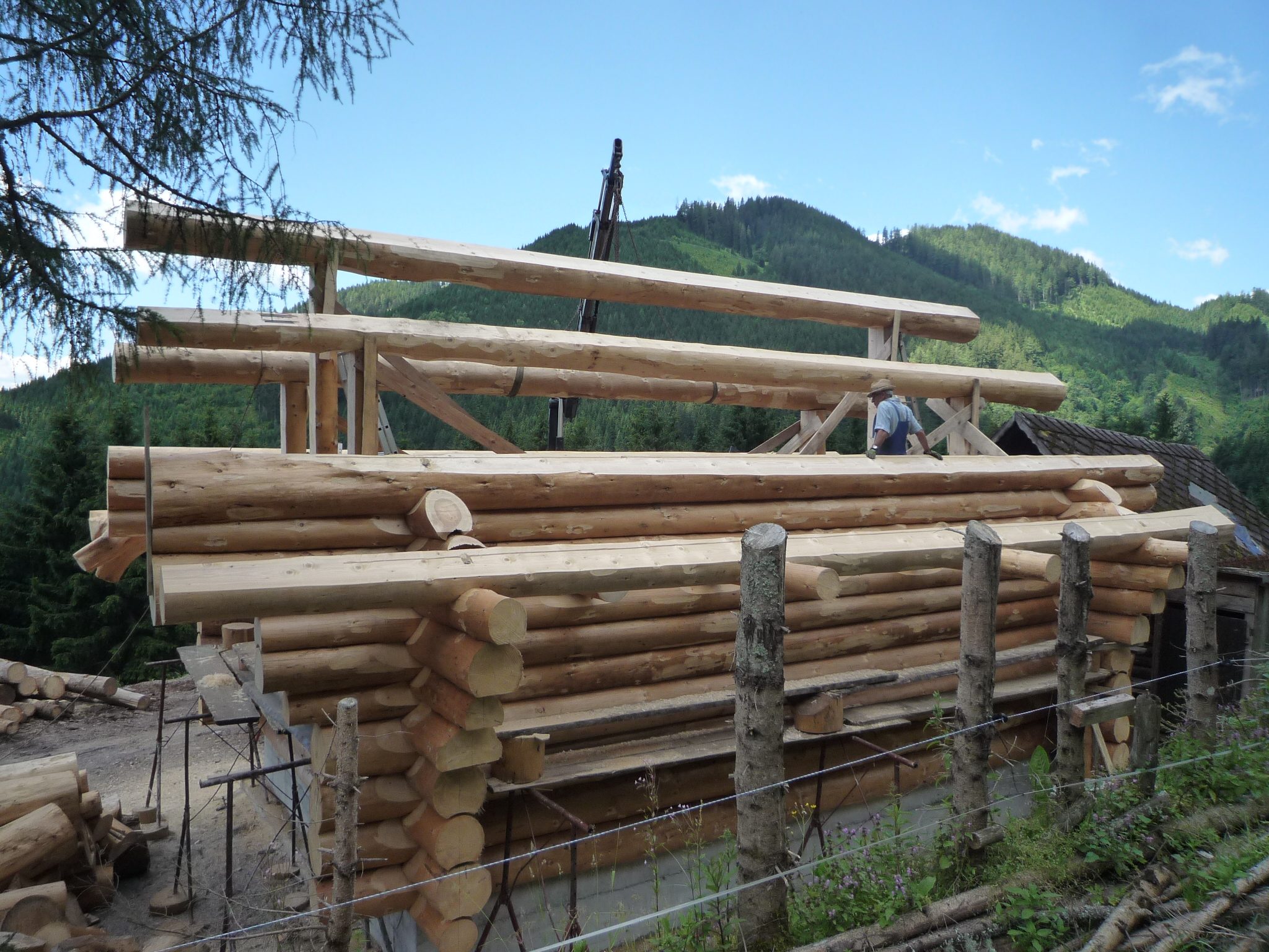 Aufgelegte Rundholz-Pfetten auf dem Blockhaus